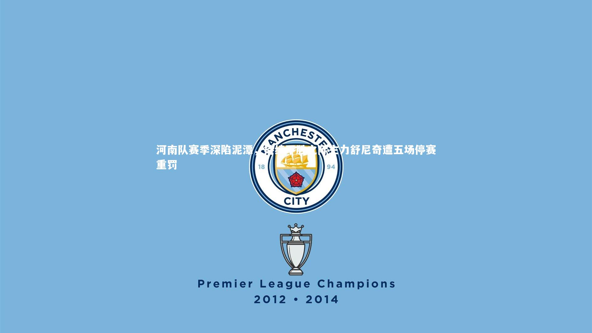 河南队赛季深陷泥潭，持续不胜之际主力舒尼奇遭五场停赛重罚